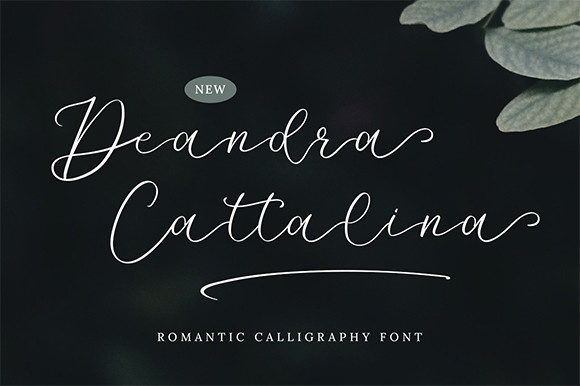 Deandra Cattalina: A Script Font That Elevates Web Design
