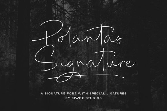 Polantas Signature: A Designer’s Honest Take