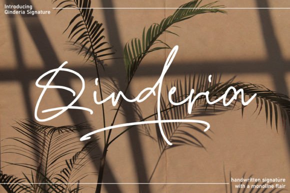 Qinderia Signature Font: A Warm, Handwritten Touch for Your Brand