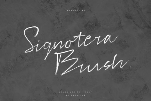 Signotera Brush: A Natural Script Font for Creative Branding